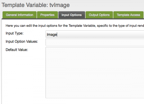 Select 'Image' as the input option