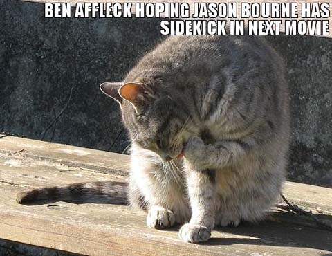 LOL Cat- Headline from ‘The Onion’ daily feeds